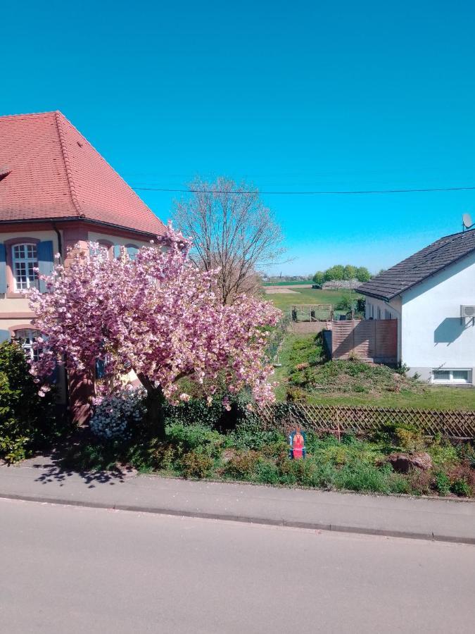 Gaestehaus Brunhilde Wittenweier Eksteriør billede